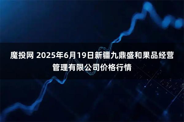 魔投网 2025年6月19日新疆九鼎盛和果品经营管理有限公司价格行情