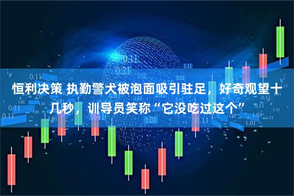 恒利决策 执勤警犬被泡面吸引驻足，好奇观望十几秒，训导员笑称“它没吃过这个”
