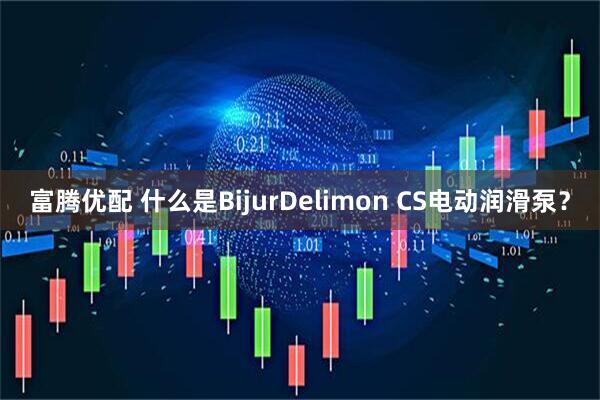 富腾优配 什么是BijurDelimon CS电动润滑泵？