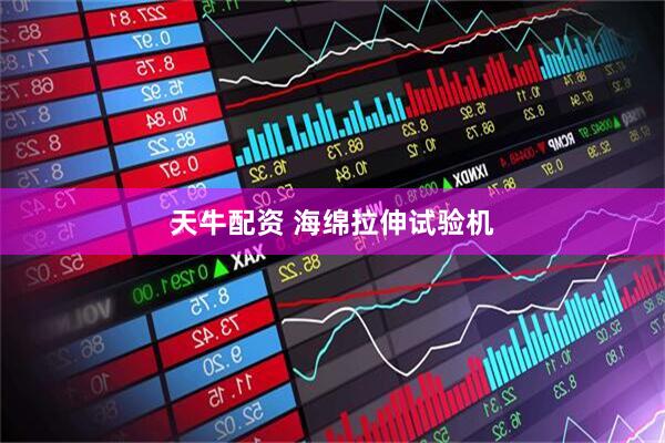 天牛配资 海绵拉伸试验机